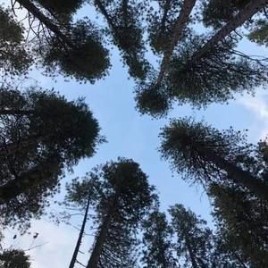 Meet your Posher, Ernie